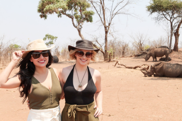 Discover the Wonders of Africa with Go2Africa: A Guide for Balanced  Travelers