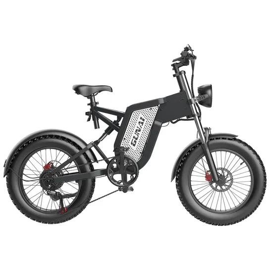 Fat Tire Electric Bike