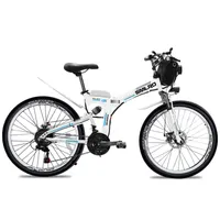 Folding Electric Bike