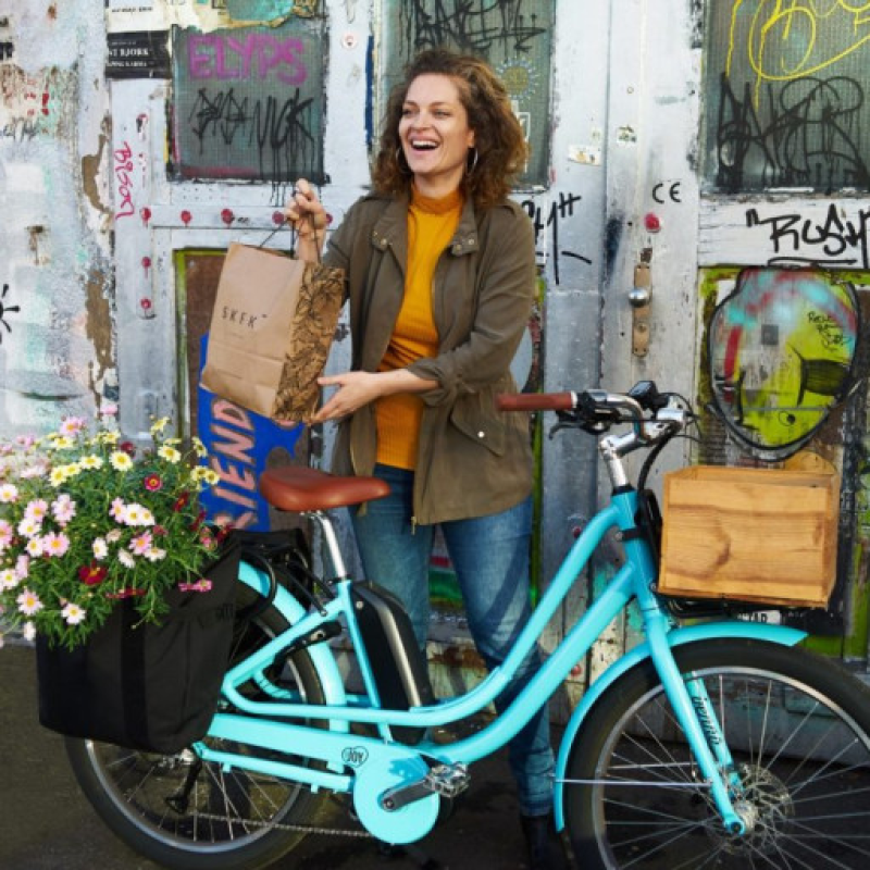 Step Through Electric Bike